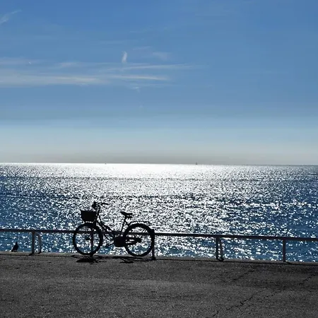 Centre Promenade With Terrace Next To The Sea In The Pedestrian Area * Nice